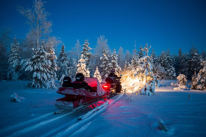 Northern Lights Sledge Ride - Price and value of the Rovaniemi Northern Lights sledge ride