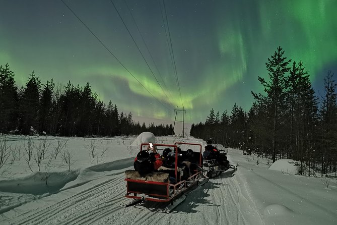 Northern Lights Sledge Ride - Aurora hunting at 8 pm: what guides do when the sky cooperates