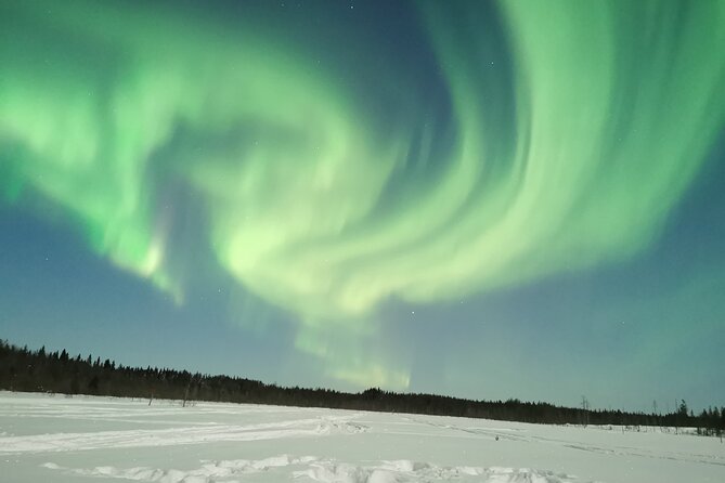 Northern Lights Sledge Ride - Who should book this sledge ride, and who should think twice