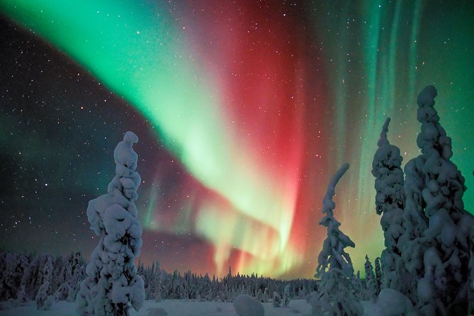 Northern Lights Snowmobile Driving Safari - Northern Lights and star gazing: how to think about aurora odds