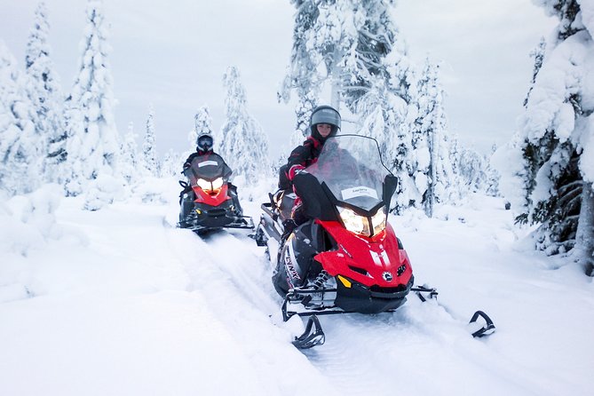 Northern Lights Snowmobile Driving Safari - Time, timing, and the reality of night driving logistics