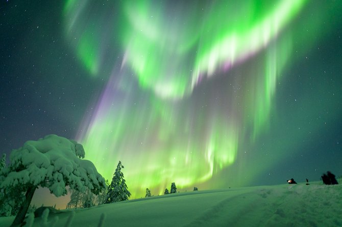 Northern Lights Snowmobile Driving Safari - Winter adventure gear: what’s included, and what you should still bring