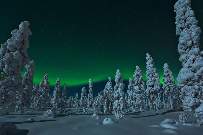 Northern Lights Snowmobile Safari from Rovaniemi with Campfire Picnic - Dress warm once, not ten times, thanks to included gear