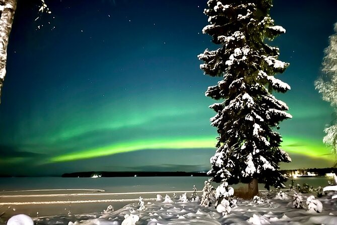 Northern Lights Tour Snowmobile Driving - Key Points Before You Go