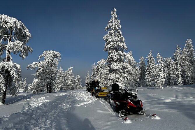 Northern Lights Tour Snowmobile Driving - Snowmobile driving in Finland: What you will actually do