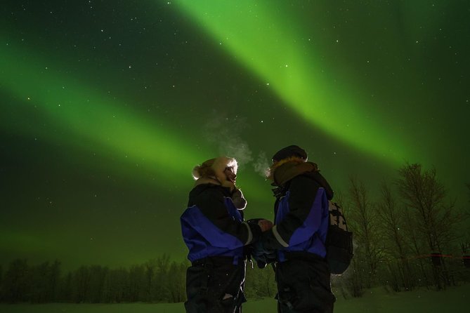 Northern lights tour to Lake Inari from Ivalo, Reindeers & Dinner - Reindeer feeding and what feels authentic here