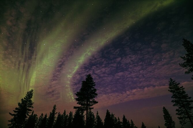 Northern Lights Tour with BBQ and drinks - Why this aurora hunt feels more like an Arctic evening than a bus ride