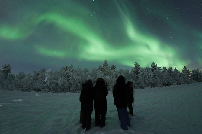 Northern Lights Tour with BBQ and drinks - Photo and viewing tips that actually help in the cold
