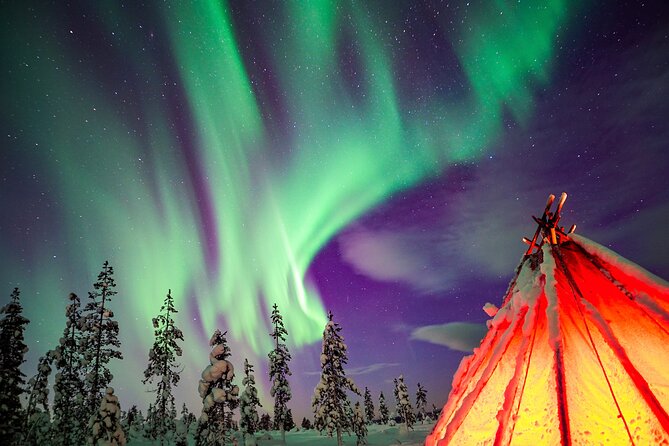 Northern Lights Wilderness Small-Group Tour from Rovaniemi - Key Things That Make This Aurora Tour Worth Your Time