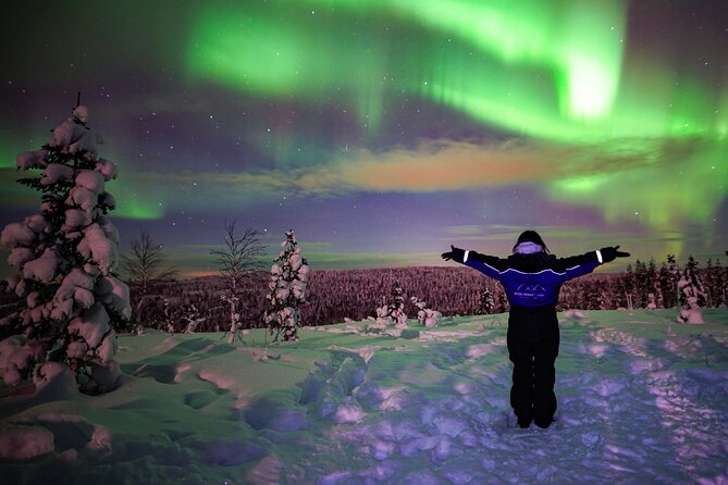 Northern Lights Wilderness Small-Group Tour from Rovaniemi - Why This Rovaniemi Aurora Hunt Feels More Local Than Generic