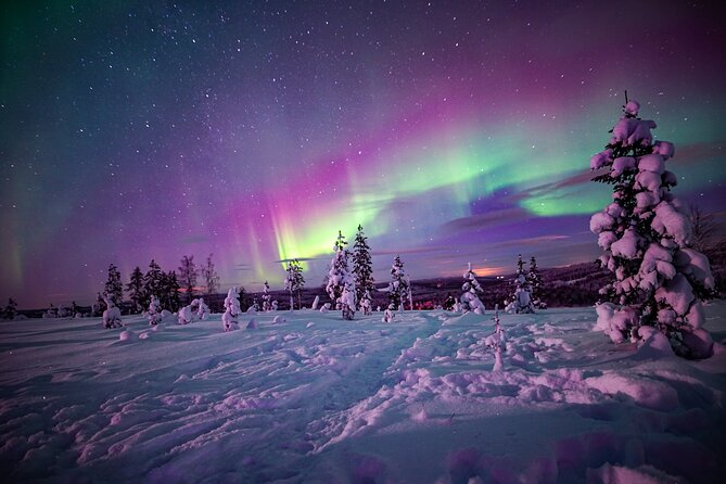Northern Lights Wilderness Small-Group Tour from Rovaniemi - The Lapland Camp Moment: Fire, Finnish Snacks, and Sami-Style Warmth