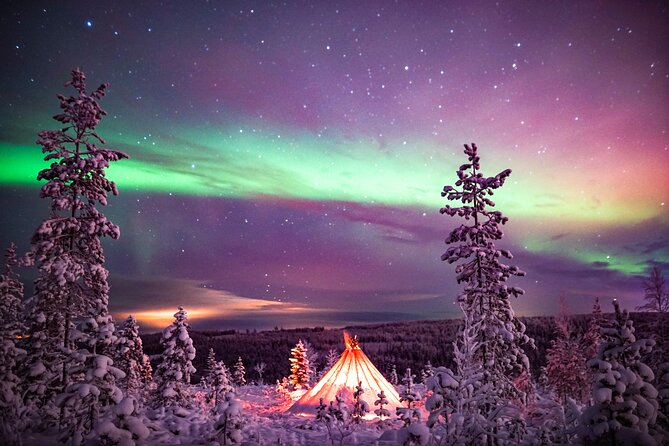 Northern Lights Wilderness Small-Group Tour from Rovaniemi - Price and Value: What $155.68 Is Buying You in Real Life