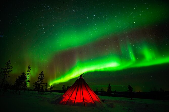 Northern Lights Wilderness Small-Group Tour from Rovaniemi - Should You Book This Northern Lights Wilderness Tour?
