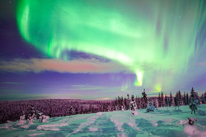 Northern Lights Wilderness Small-Group Tour from Rovaniemi - Before You Chase the Lights: Clothes, Boots, and a Real Plan for the Cold