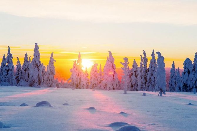 Ounasvaara and Ranua Zoo - Ounasvaara hill walk: a short climb with a real payoff