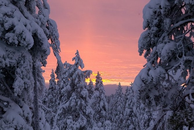 Ounasvaara and Ranua Zoo - What to bring for a Lapland nature-and-animals day