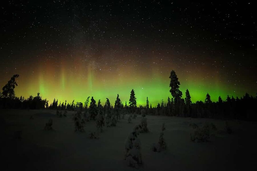 Polar Night Snowshoe Trek - Northern Lights in Motion: What Makes This Trek Different