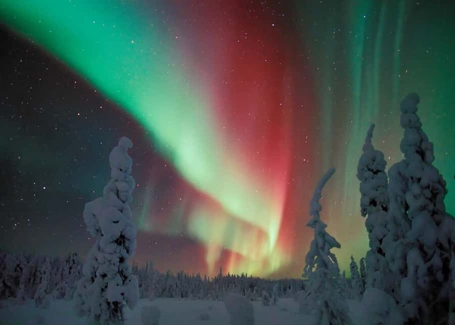 Polar Night Snowshoe Trek - How the 3-Hour Snowshoe Trek Typically Plays Out
