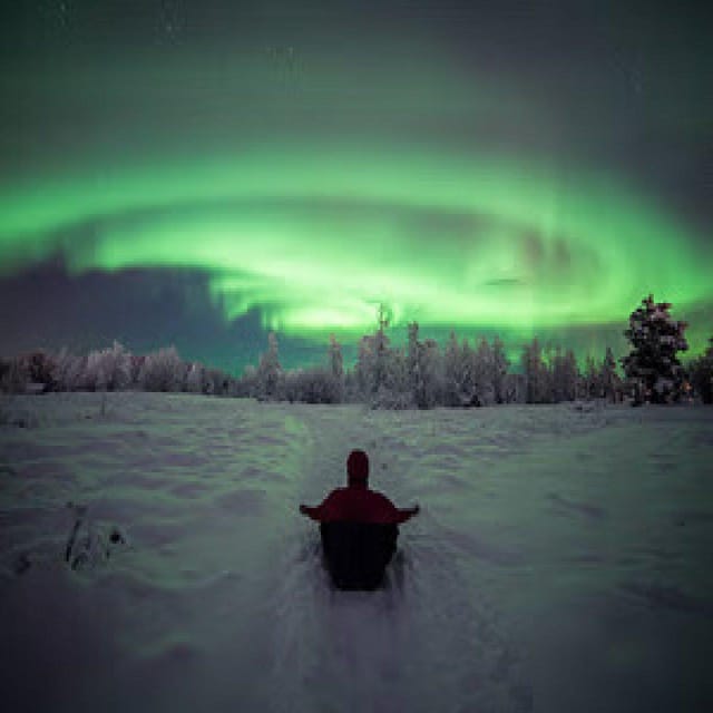 Polar Night Snowshoe Trek - Wildlife Signs: Grouse Digging and Reindeer Grazing Clues