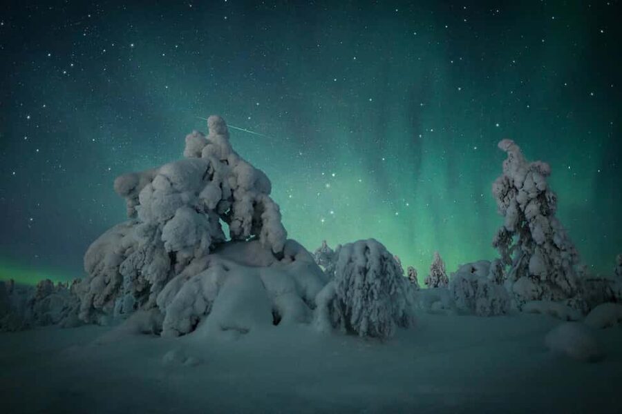 Polar Night Snowshoe Trek - Northern Lights Chances: Realistic Expectations in Polar Night