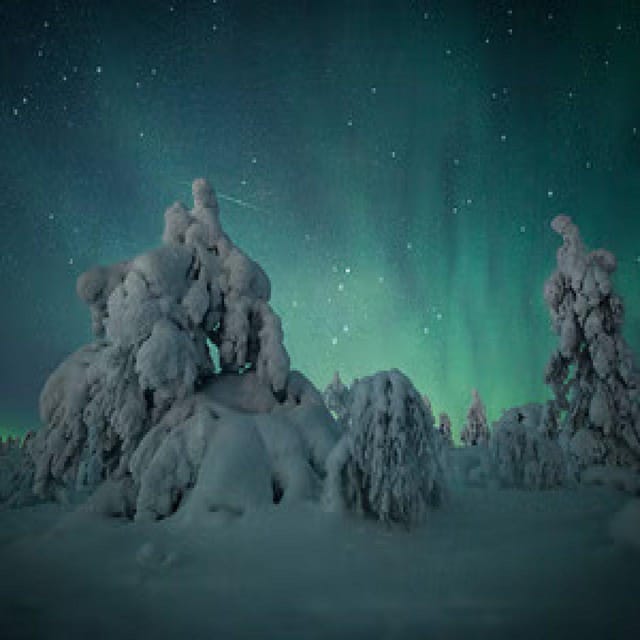 Polar Night Snowshoe Trek - Warm Drinks and Snacks: A Small Inclusion With Big Payoff