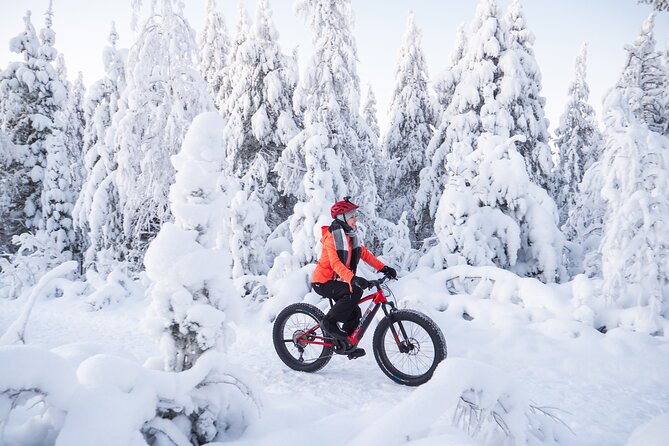 Private Electric Fat Bike Winter Tour in Rovaniemi - Starting at Hostel Café Koti, warm up your morning