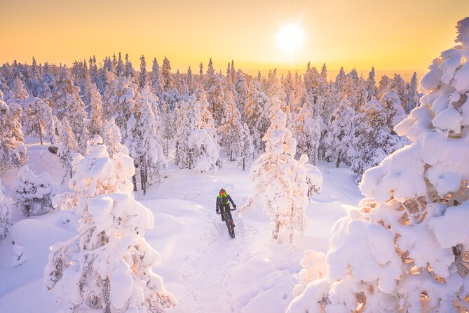 Private Electric Fat Bike Winter Tour in Rovaniemi - City-to-river ride and the Lumberjack’s Candle Bridge