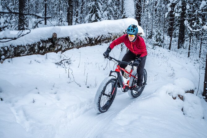 Private Electric Fat Bike Winter Tour in Rovaniemi - Roll Outdoors Garage prep, gear that keeps the ride fun