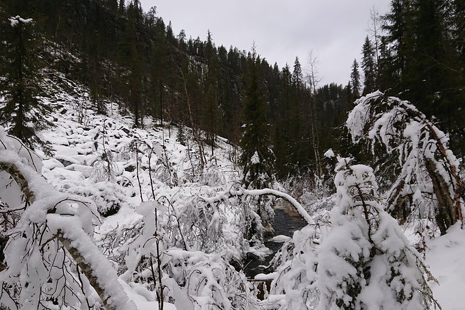 Private Korouoma Canyon Tour - Food, drinks, and the vegetarian option that keeps the day easy