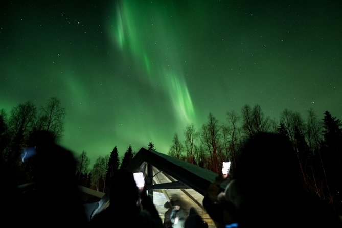 Private Northern Lights Hunting Expedition - Photography tips for phones and cameras in the Lapland dark
