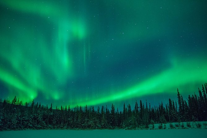 Private Northern Lights Hunting Tour Rovaniemi - The private ride with WiFi, and why it actually matters
