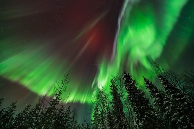 Private Northern Lights Hunting Tour Rovaniemi - How “multilingual” works in real life