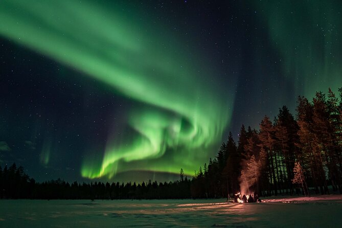 Private Northern Lights Photography Hunting - Private Guide Setup: Weather Briefing and Flexible Start Time