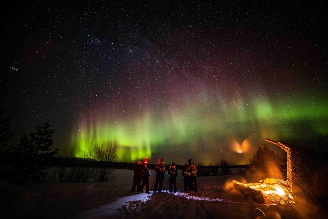 Private Northern Lights photography tour in Rovaniemi - The camera setup: tripod support, phone mounts, and winter-friendly habits