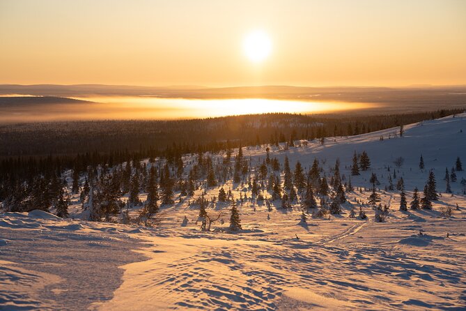 Private Snowshoe or Ski Adventure in Lapland from Rovaniemi - Price for a group of up to 7 in Rovaniemi, and why it can be good value
