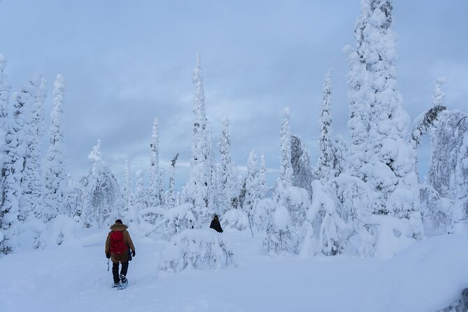Private Snowshoe or Ski Adventure in Lapland from Rovaniemi - Should you book Nordic Odyssey’s Lapland snowshoe or ski adventure?