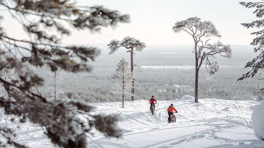 Pyhätunturi: Electric Fatbike Tour in Finnish Lapland - Rolling into Pyhä-Luosto National Park on quiet taiga trails