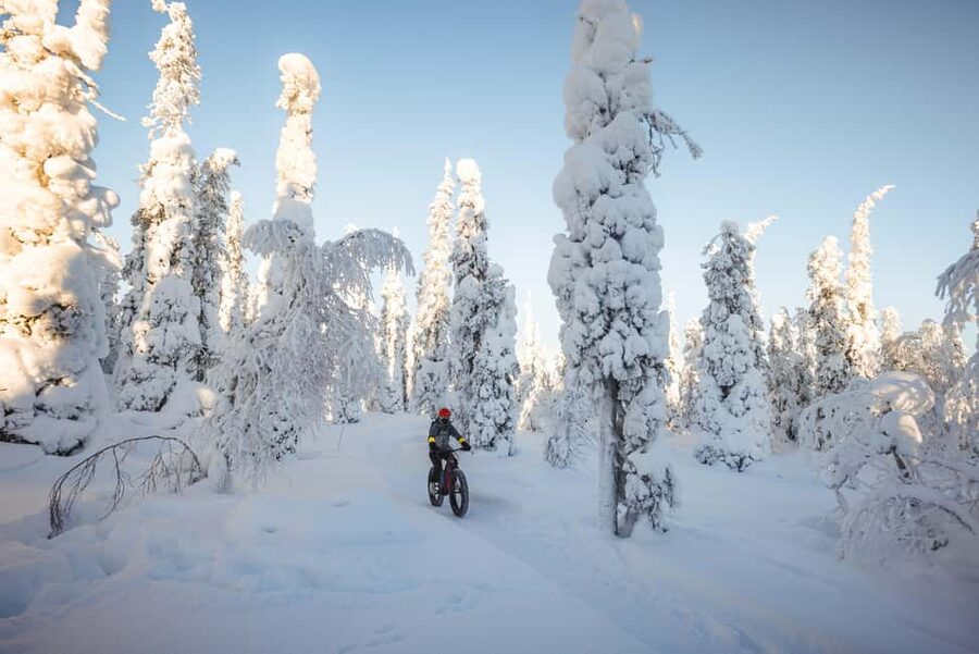 Pyhätunturi: Electric Fatbike Tour in Finnish Lapland - Pyhä vs Luosto: choosing the shorter ride option for your schedule