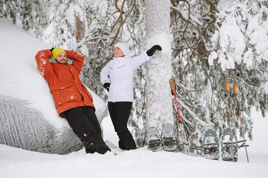 Pyhätunturi: Scenic Snowshoeing Tour in Finnish Lapland - Getting There From Rovaniemi, and Timing Your Day