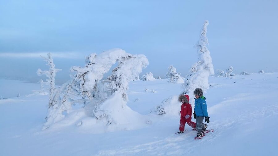 Pyhätunturi: Scenic Snowshoeing Tour in Finnish Lapland - The Descent and the Reindeer Paddock Moment