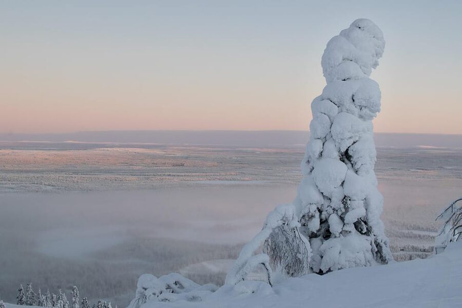 Pyhätunturi: Scenic Snowshoeing Tour in Finnish Lapland - What the Guide Really Brings to the Experience