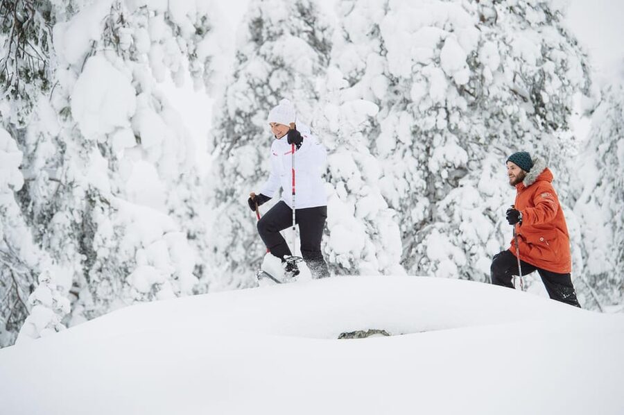 Pyhätunturi: Scenic Snowshoeing Tour in Finnish Lapland - Price and Value: Is $133 Worth It?