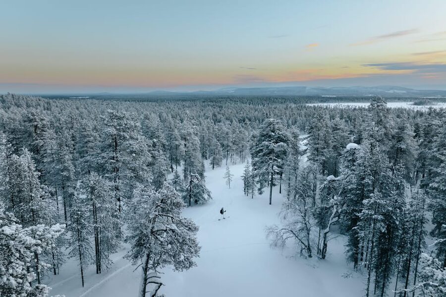 Pyhätunturi: Try Wilderness Skiing in Finnish Lapland - The 2-Hour Guided Ski: What You Do, What You Learn, What It Feels Like