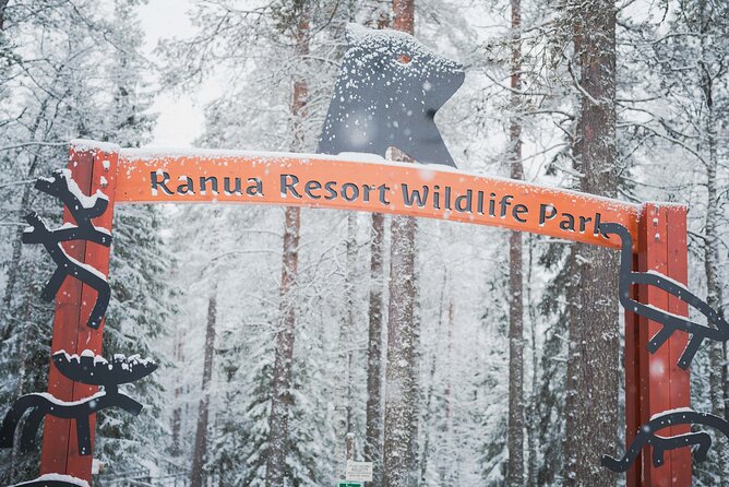 Ranua Wildlife Park Day: Visit the Arctic Animals - From Rovaniemi pickup to Ranua drive: logistics that actually affect your day