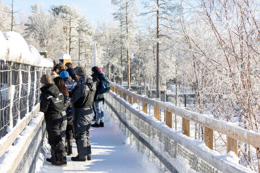 Ranua: Wildlife Park Entrance Ticket - Price and Value: Is $31 Worth It?