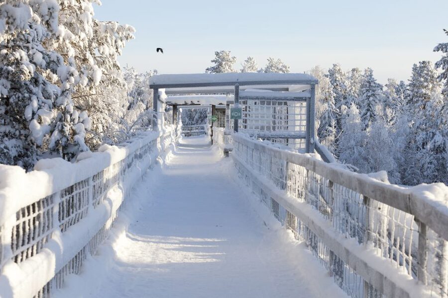 Ranua Wildlife Park Guided Tour from Rovaniemi - Family-Friendly, But Not for Everyone