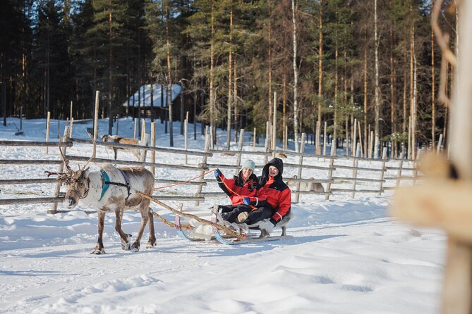 Reindeer Experience with Sledge Ride - Who this reindeer and sledge experience fits best