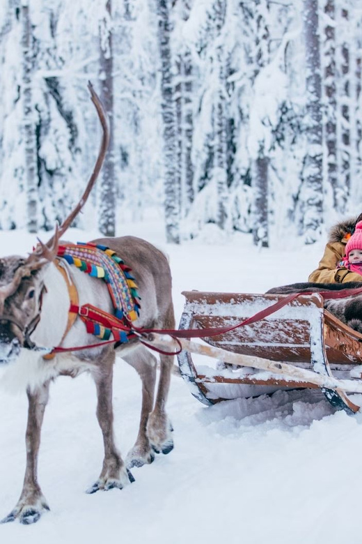 Reindeer Farm Visit with Sleigh Ride - Key points before you go