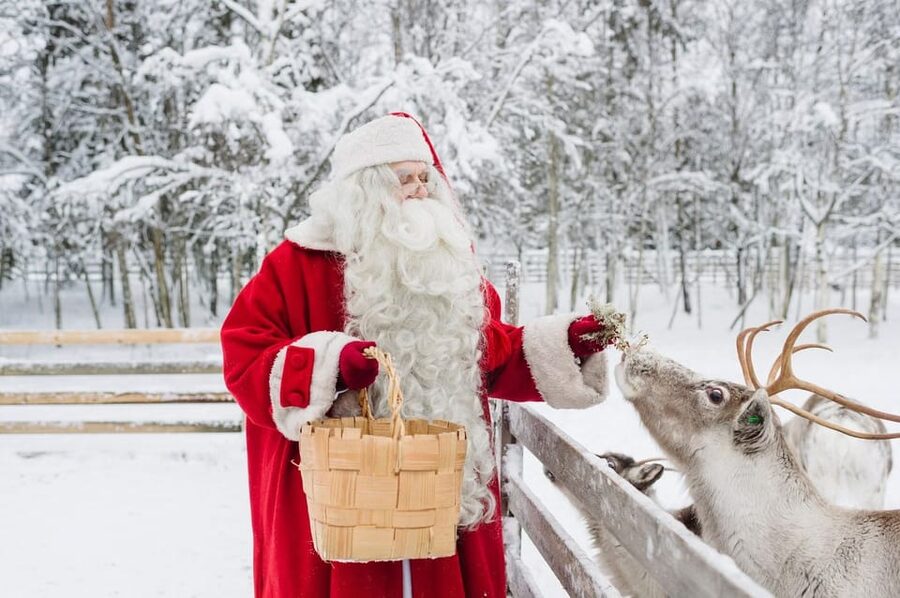 Reindeer Farm Visit with Sleigh Ride - Cold Weather Reality: What to Wear so the Trip Stays Fun