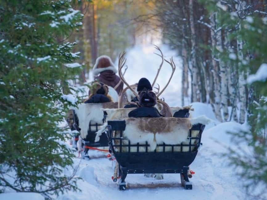 Reindeer Safari at a 200-Year-Old Farm & Long Sled Ride - FAQ